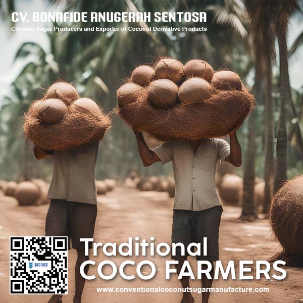 Traditional Coconut Farmers in Indonesia